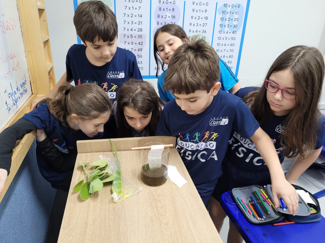 Investigação das plantas e seus pigmentos